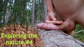 Exploring the nature 4 - Risking it on a Forest path